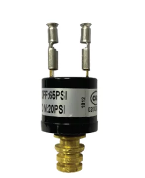 Seaflo Hi̇drofor Switch 65 PSİ - 1