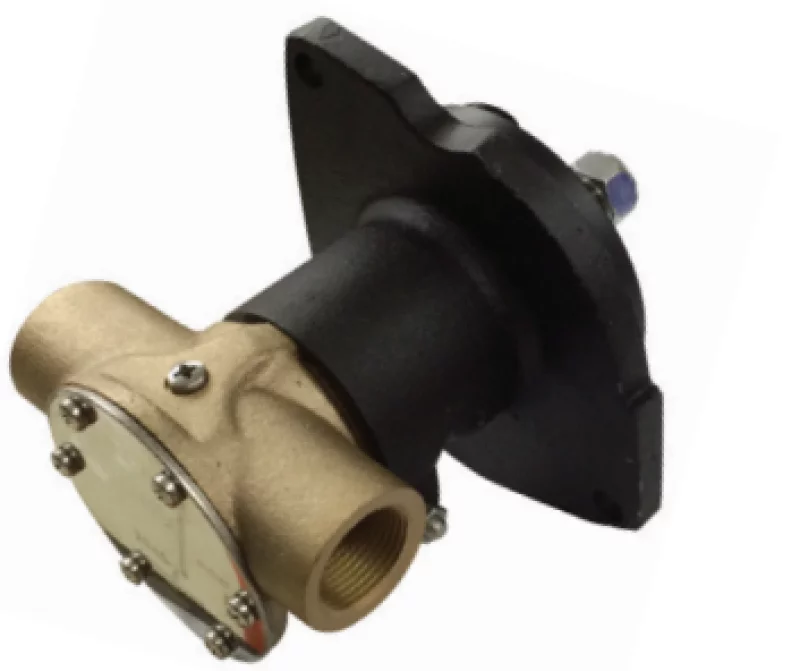 Flanşli Pompa - Kami̇s 1"