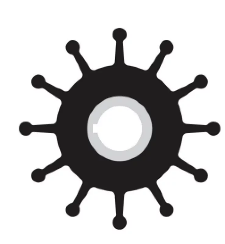 Sherwood Impeller 10077K