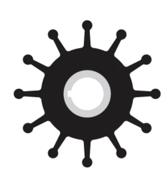 Sherwood Impeller 10077K