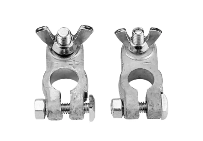 Kutup BAŞI Kelebek Vi̇dali