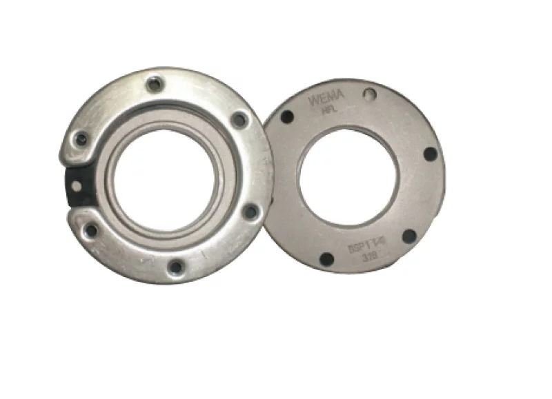 Paslanmaz Flanş