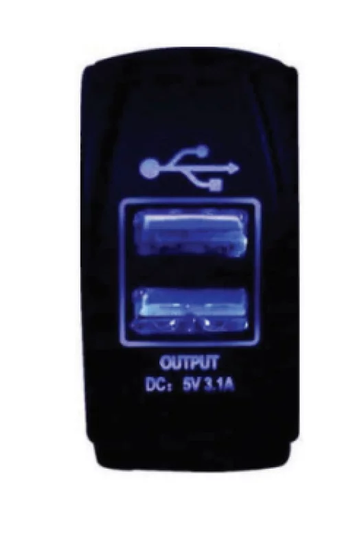 Switch USB 2'Lİ 12/24 V