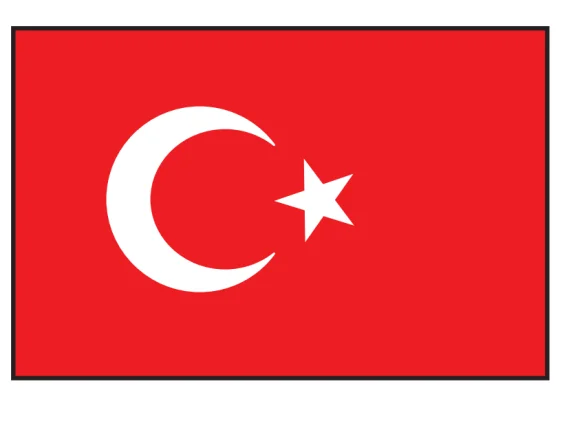 Türk Bayraği 20X30