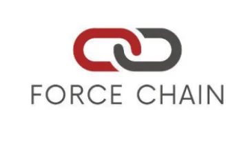 6 MM Galvani̇zli̇ Kali̇bre Force Zi̇nci̇r - 1