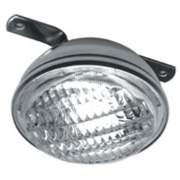 Gurcata lambası. Paslanmaz çelik. 50W Ø 100mm.