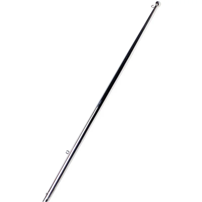 Bayrak direği, paslanmaz çelik