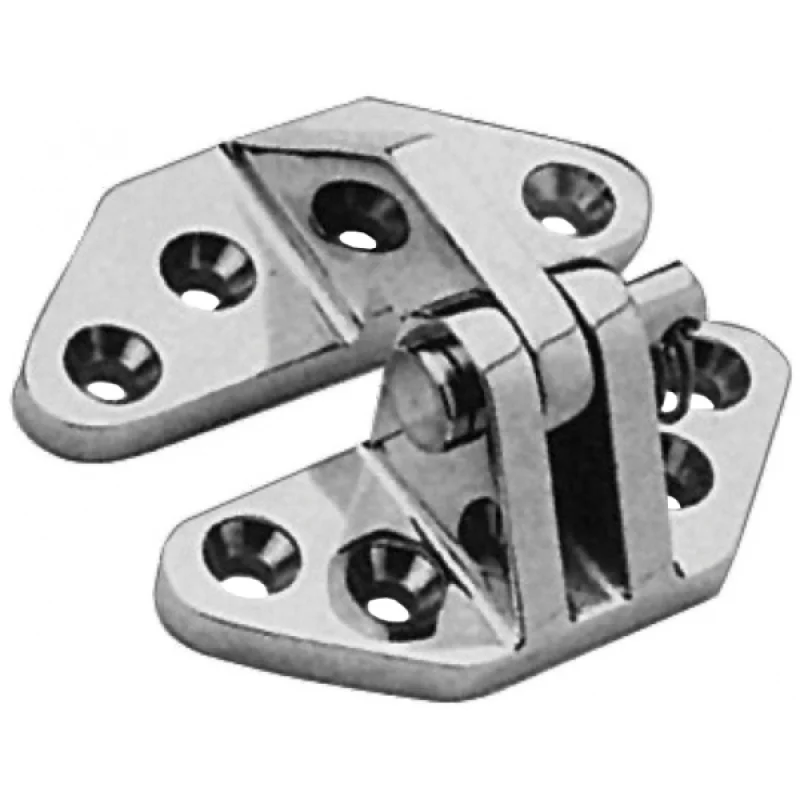 Kapak menteşesi, AISI316 paslanmaz çelik. 