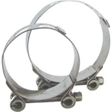 AISI 316 paslanmaz çelik kelepçe. Ağır hizmet tipi. - 1