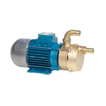 TELLARINI POMPE Ağır hizmet tipi su pompası 12/25 12V - 1