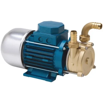 Tellarini ECC serisi kendinden emişli bronz ağır hizmet pompa - 1