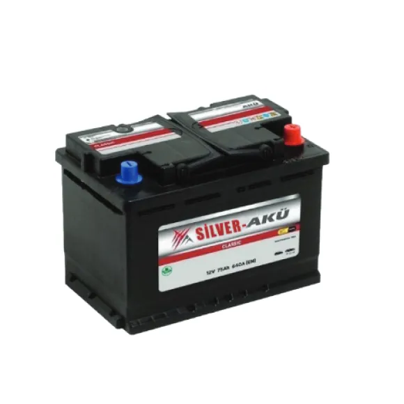 Silver Marin Battery